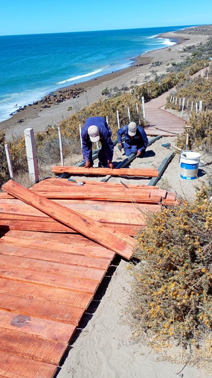El Área Natural Protegida Península Valdés se prepara para la nueva temporada de orcas