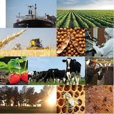 11Mil Millones de Dólares el volumen exportado hasta setiembre