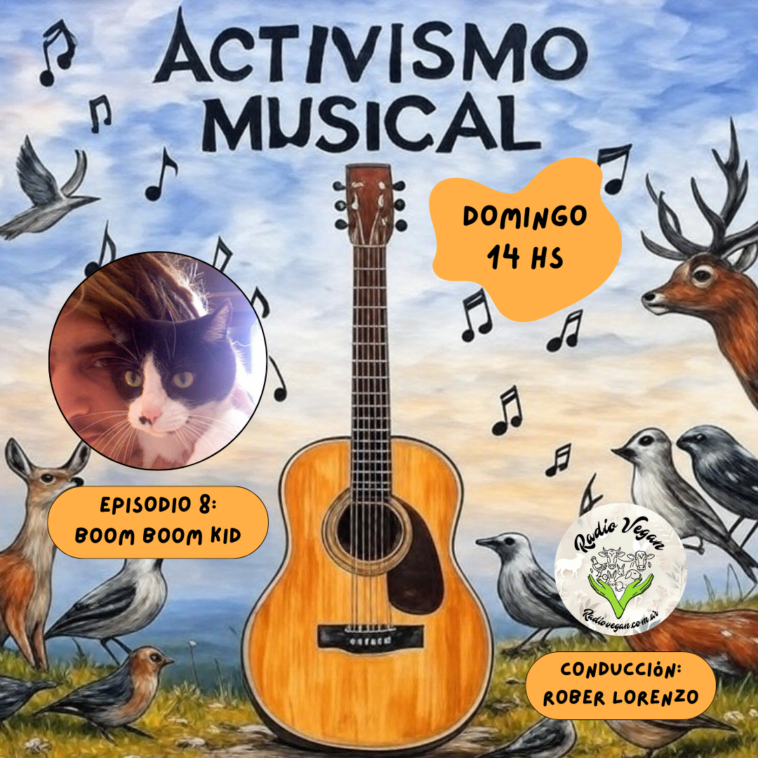 Boom Boom Kid – 8vo Programa de Activismo Musical