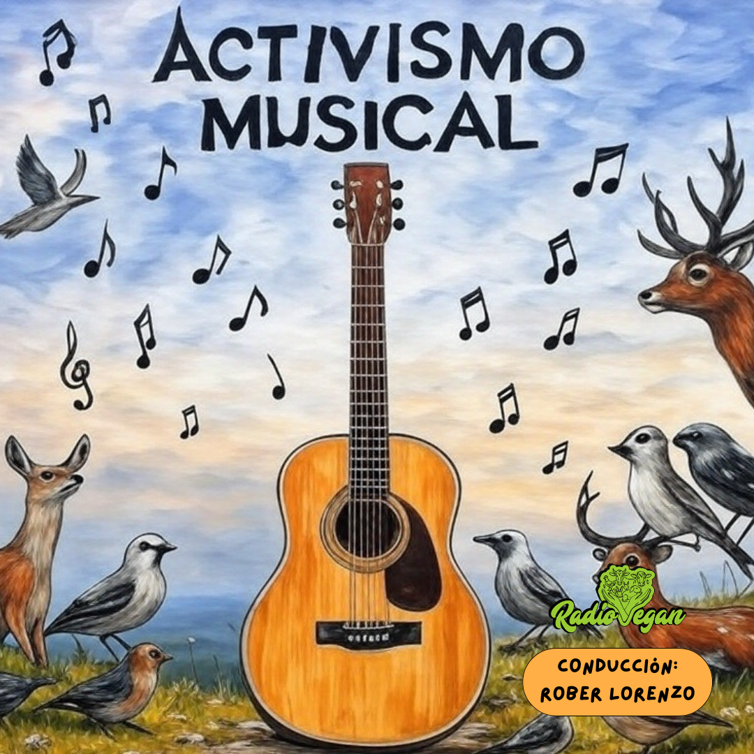 Activismo Musical (Con Rober Lorenzo)