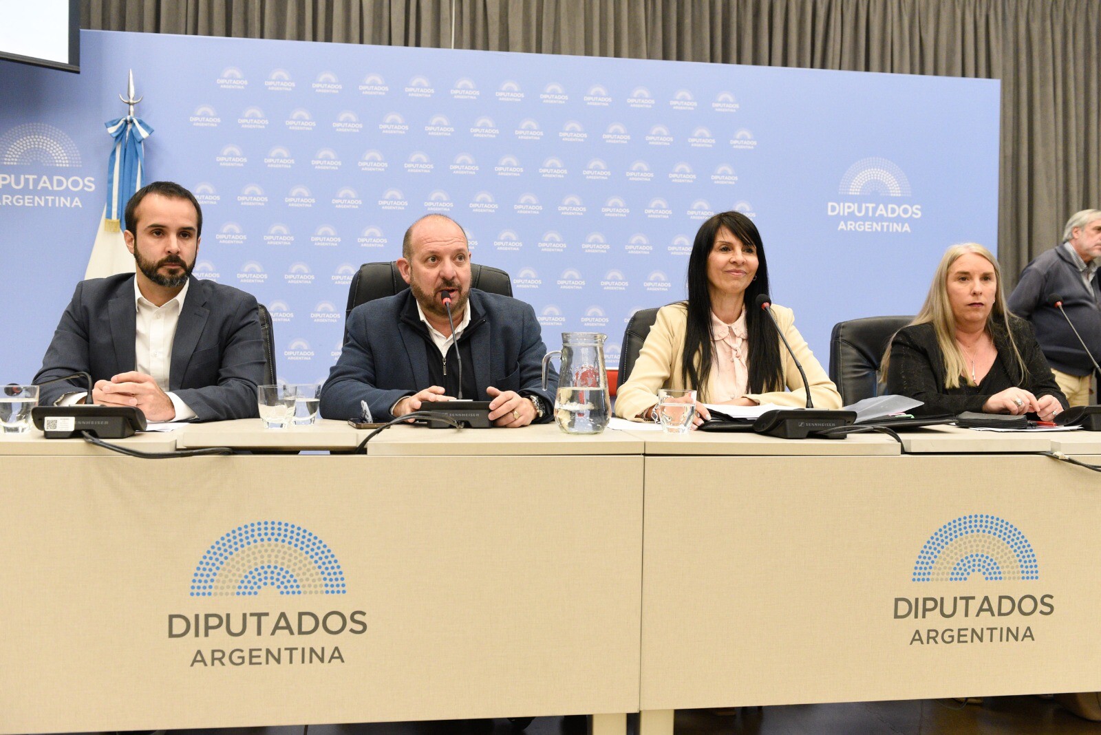 Ambiente Diputados de la Nación (2).jpeg
