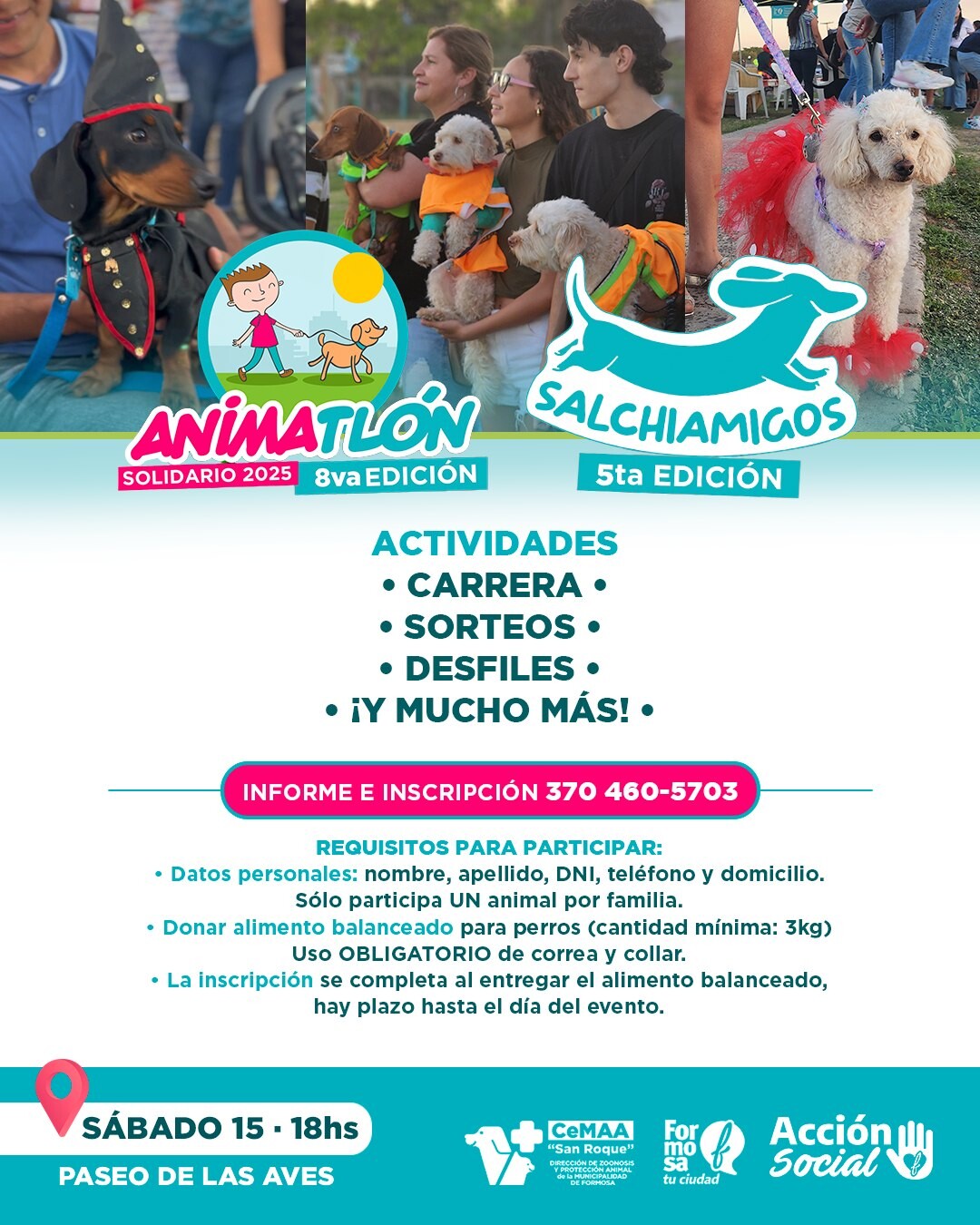 Animatlon.jpg Animatlon.jpg