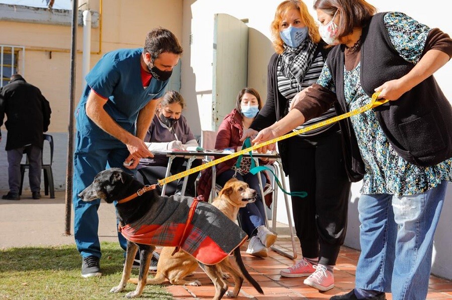 El Municipio continúa con el operativo gratuito de vacunación antirrábica en los barrios durante julio