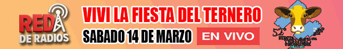 BANNER-FIESTA-TERNERO