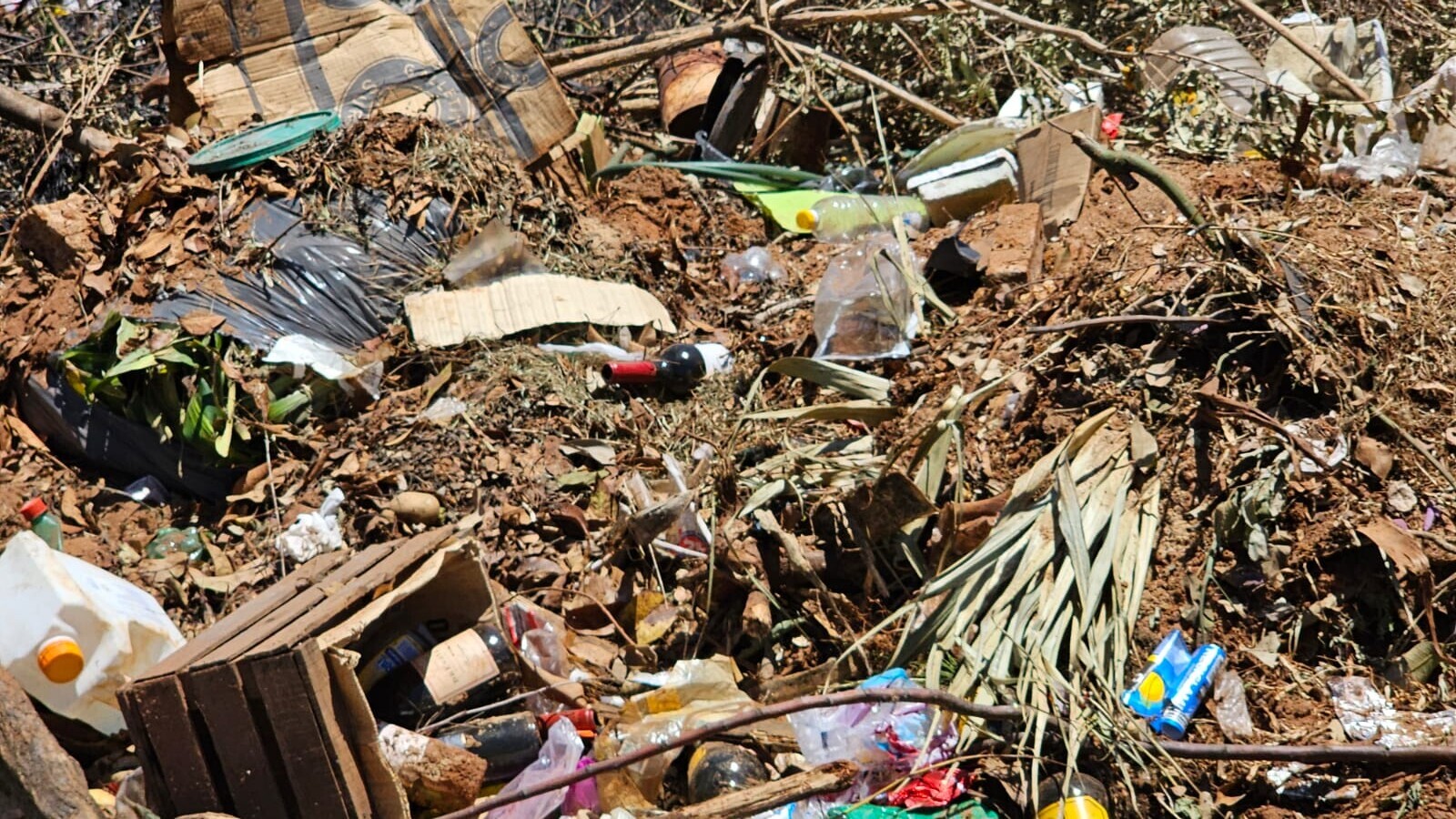 Basural y desmonte  (2).jpeg