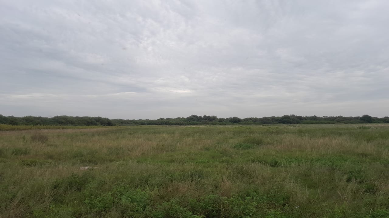 Buenas buenas Libanesa City capital del mosquito para morcilla jaja.jpeg Domingo bien otoñal