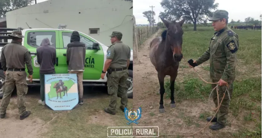 CABALLO.webp Dos jóvenes detenidos tras intentar sustraer un caballo de un establecimiento rural
