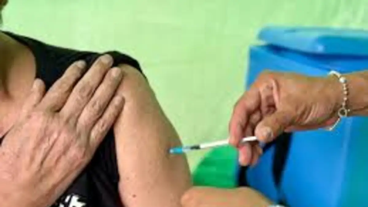 CAMPAÑA -BRAZO.webp