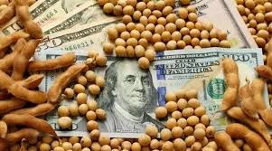 6% en volumen es el «Crecimiento de la Exportación de la Agroindustria» en los primeros 7 meses de año