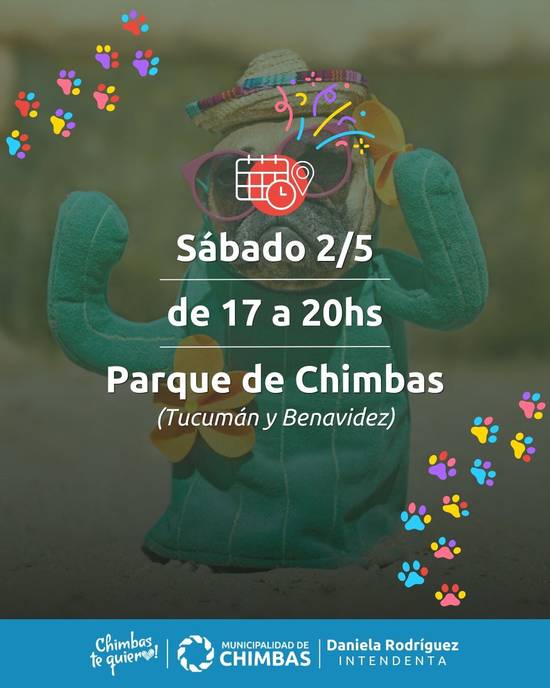CARNAVAL-MASCOTA-4.jpeg CARNAVAL-MASCOTA-4.jpeg