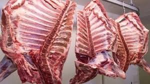 CARNE-HUESO-01.jpg