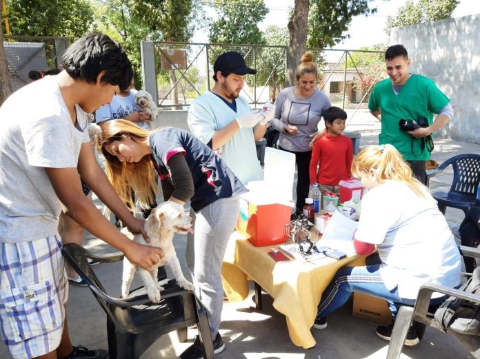 PLAN INTEGRAL DE CASTRACIÓN DE CANINOS Y FELINOS