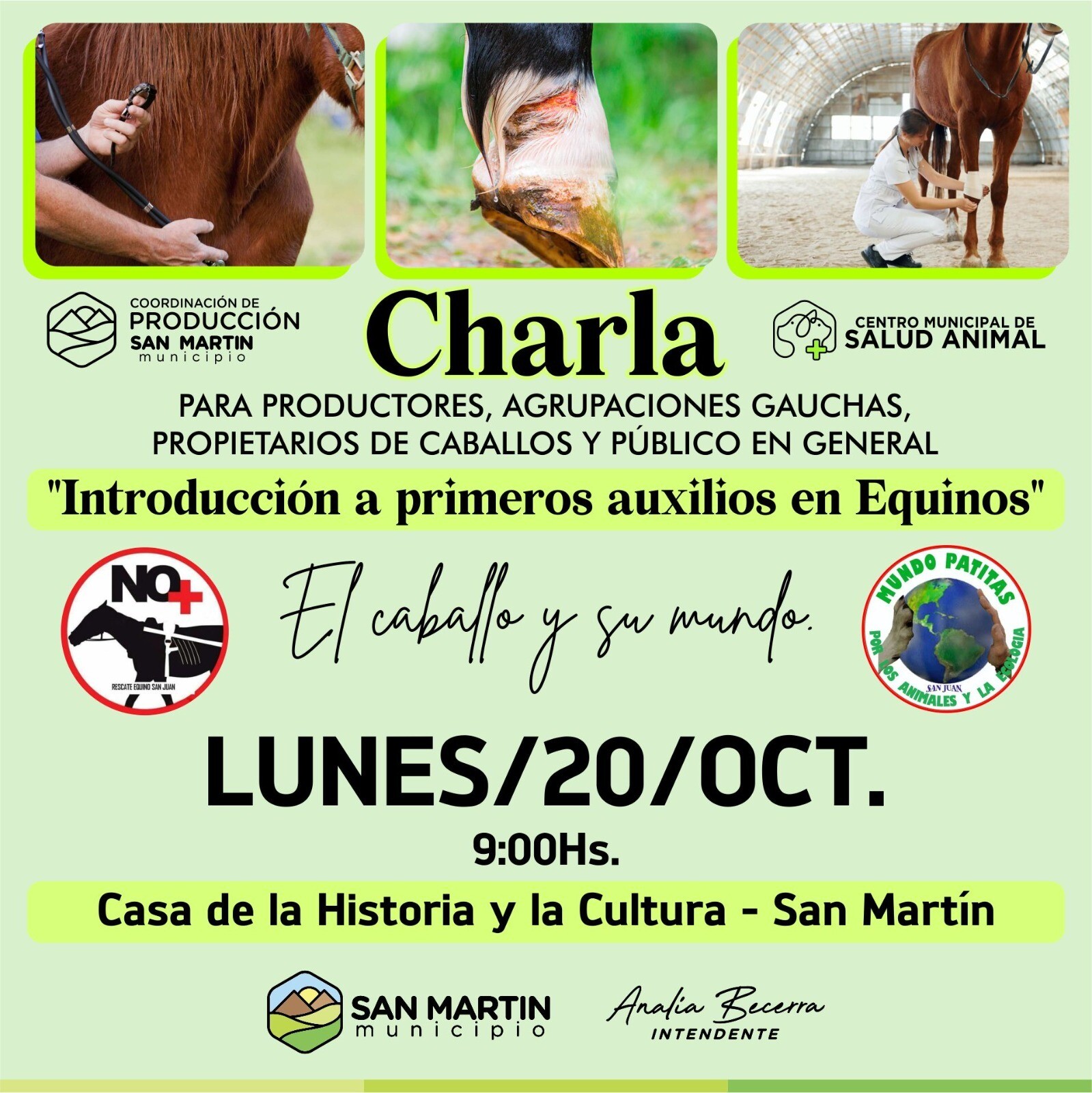 SAN MARTÍN: el municipio invita a la charla Introducción a primeros auxilios en equinos