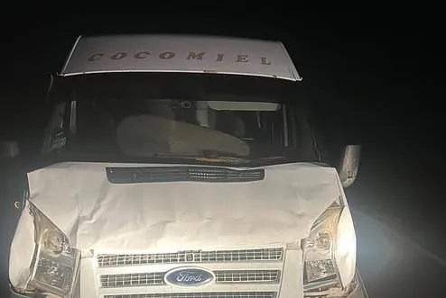 COMBI.webp CORRIENTES Una pareja salvó de milagro su vida tras chocar contra un animal suelto