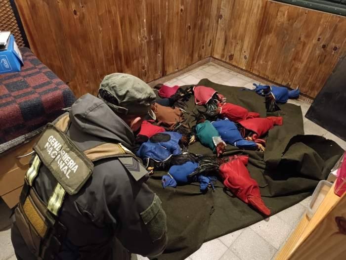 Gendarmeria desvaratoi una banda que traficaba gallos de riña a Curuzu Cuatia