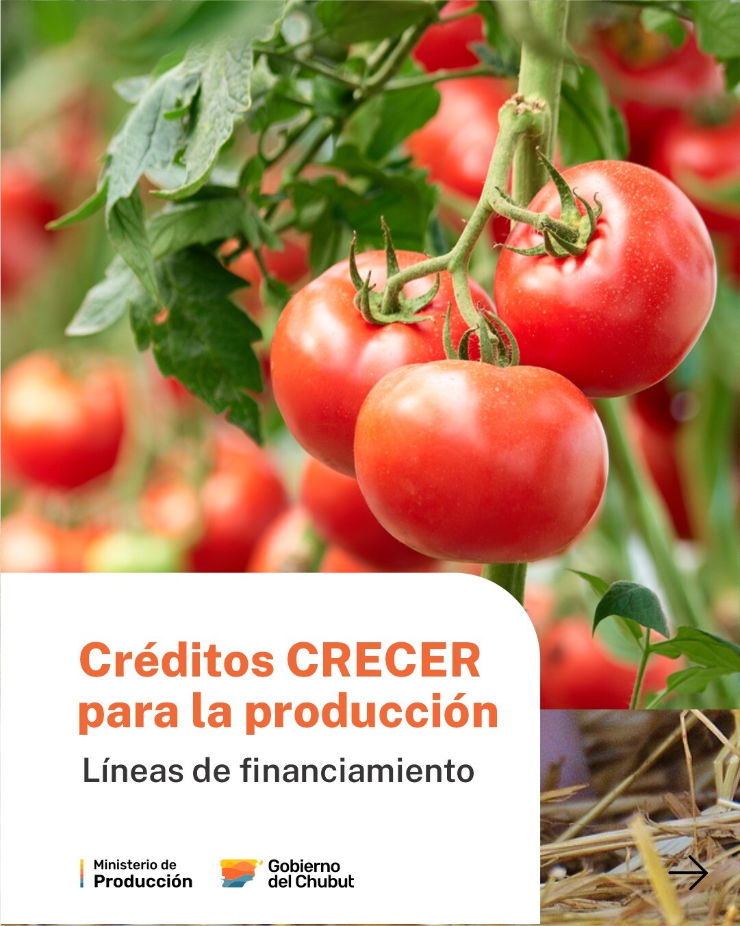 El Gobierno del Chubut informa que están disponibles Líneas de Financiamiento CRECER