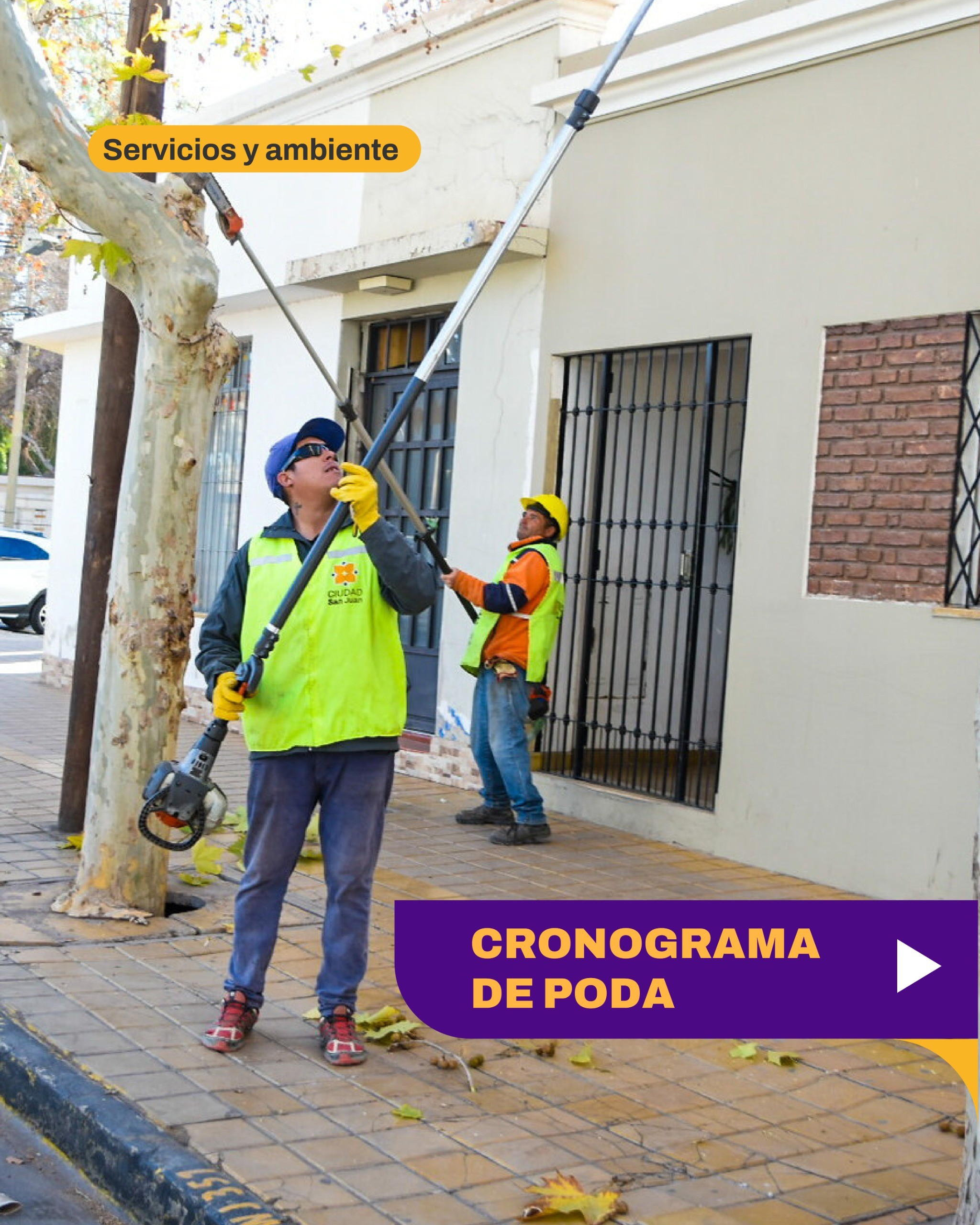 CIUDAD: la Municipalidad de San Juan, NO descansa, cronograma del operativo de poda urbana para la próxima semana