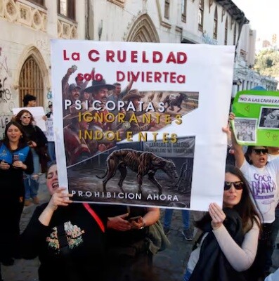 CRUELDAD-GALGOS.jpg CRUELDAD-GALGOS.jpg