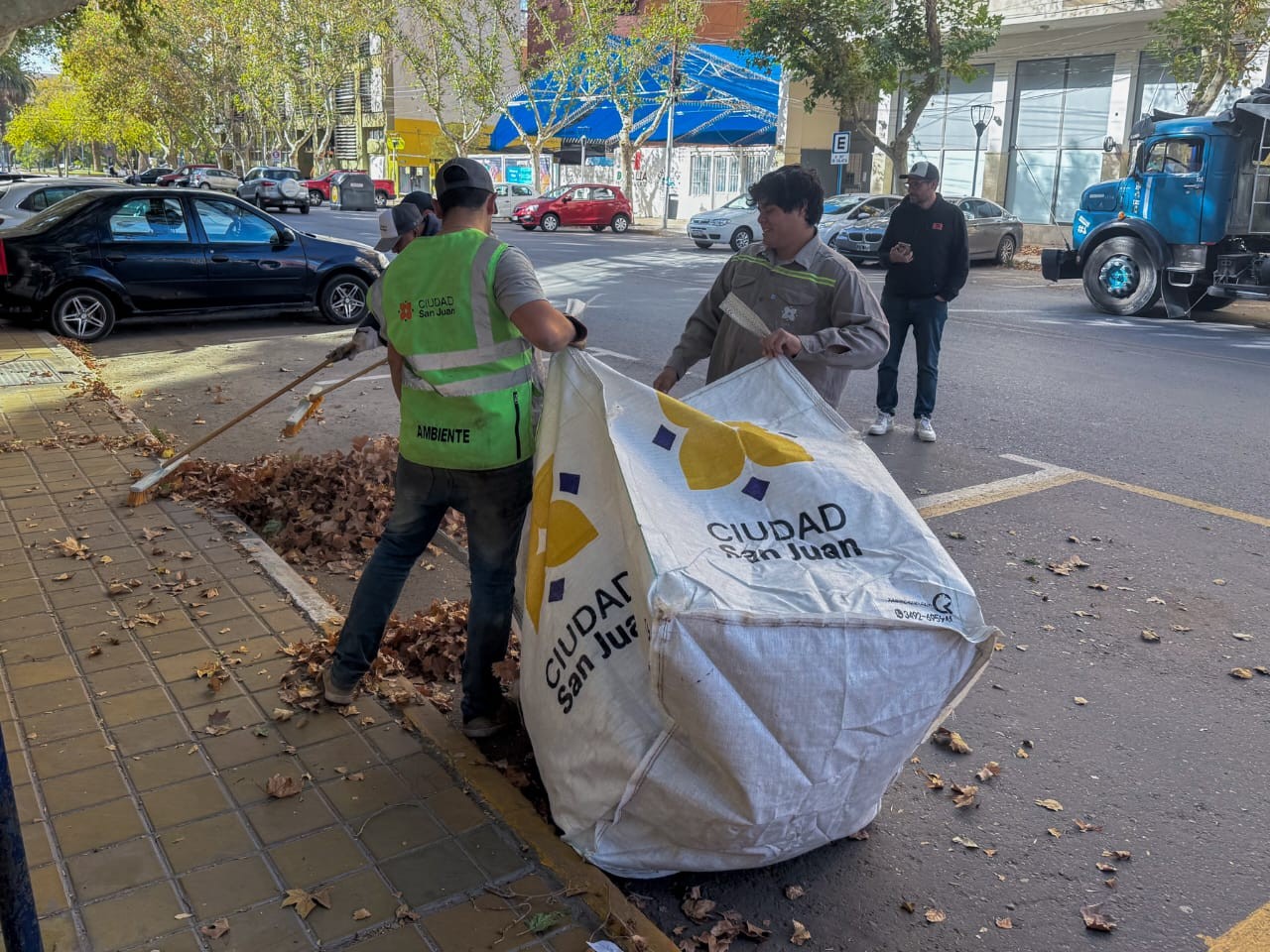 CIUDAD: cronograma de Limpieza y Poda del 16 al 22 de junio