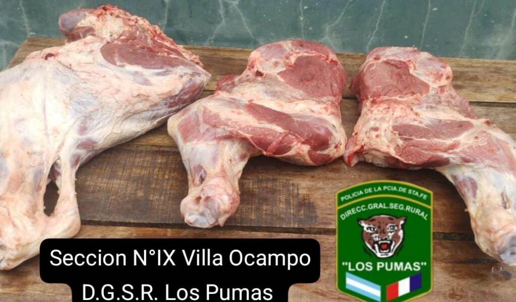 CUATRO.jpeg