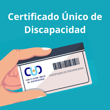 DISCAPACIDAD: Aclaración sobre el pase libre en la Red Tulum para personas con discapacidad