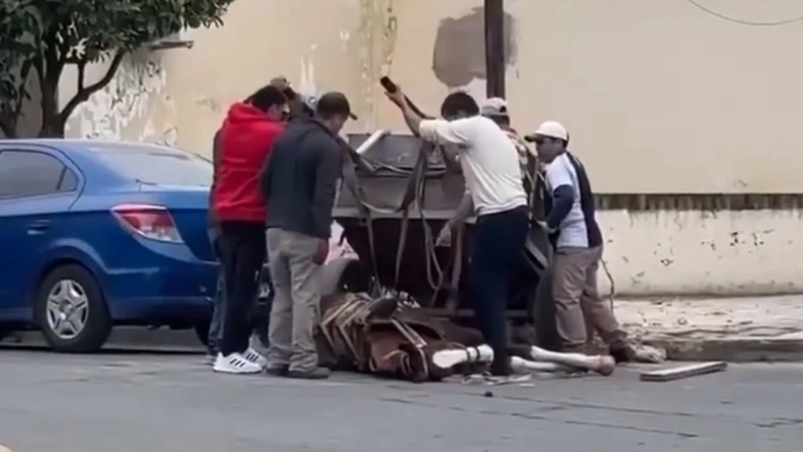 Indignación en Metán: Un caballo se desplomó por el esfuerzo en pleno centro
