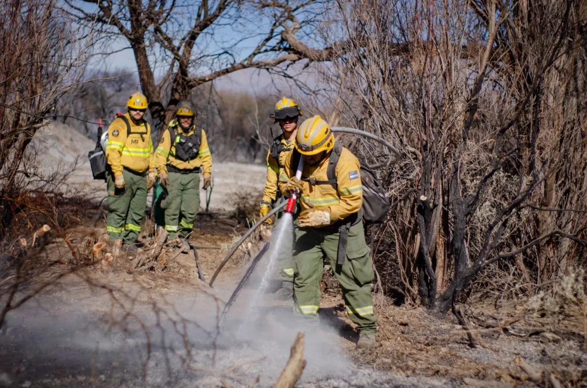Denuncian que el incendio en Cafayate pudo haber sido intencional y piden investigar posibles intereses inmobiliarios