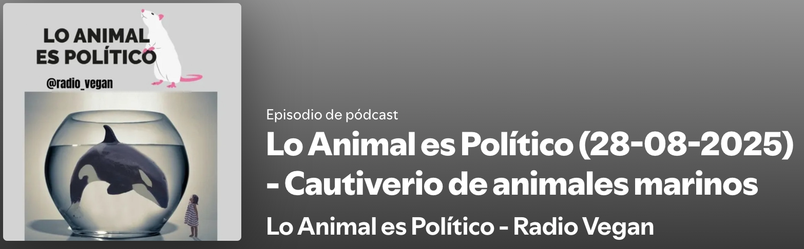 Captura de Pantalla 2025-09-05 a la(s) 19.24.40.png