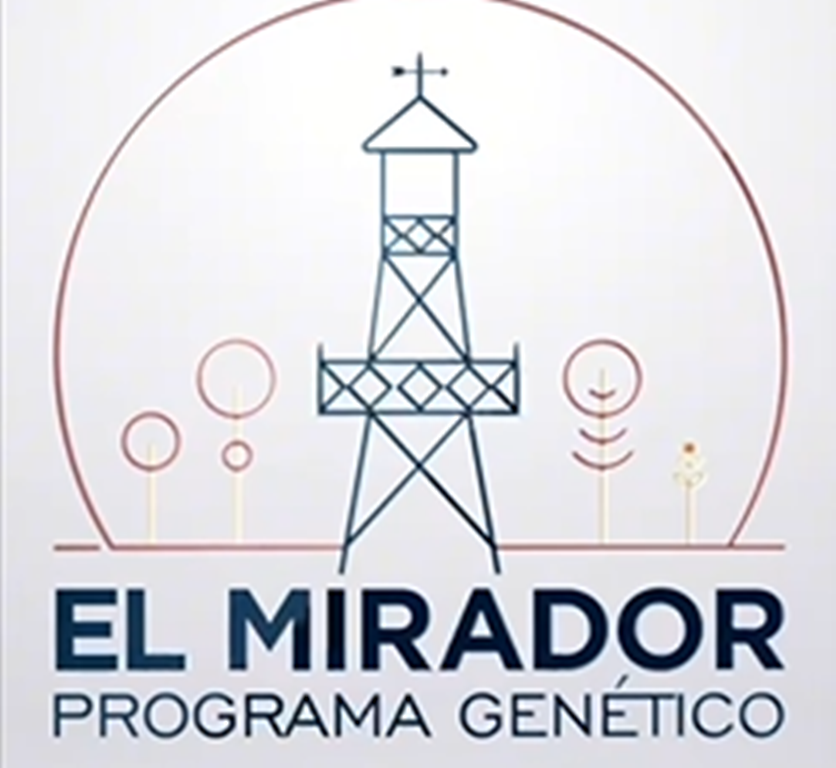Captura de pantalla (127).png