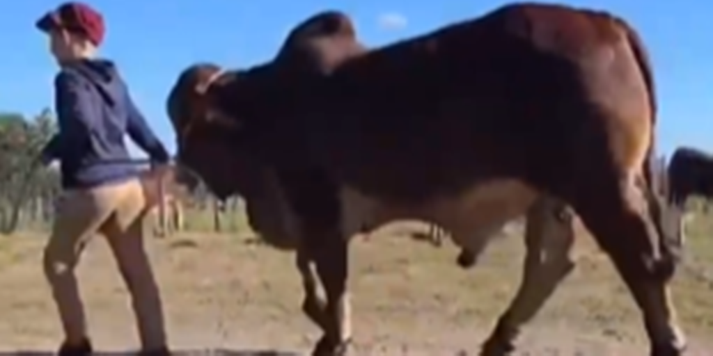 Captura de pantalla (131).png