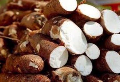 Captura-de-pantalla-2026-04-20-135316