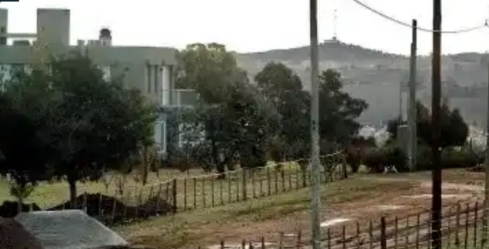 Qué dice la denuncia del robo en la casa de Juan Martín Del Potro