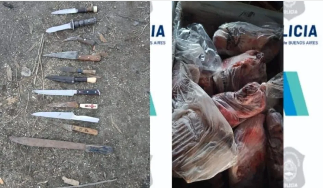 María Ignacia Vela: secuestran un arma, cuchillos y más de 100 kilos de carne de origen dudoso durante un allanamiento