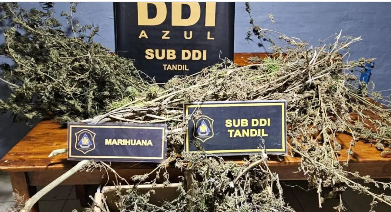 Importante secuestro de marihuana tras un operativo por robo
