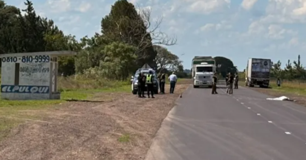 Un hombre de 48 años de edad se suicidó arrojándose al paso de un camión en la RN11; jurisdicción de Las Garzas.