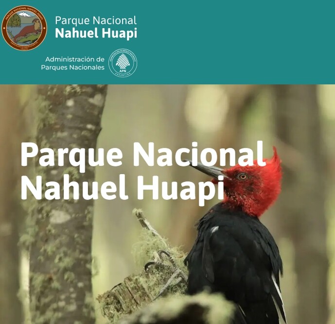 Captura de pantalla_13-7-2026_231118_nahuelhuapi.gov.ar.jpeg Captura de pantalla_13-7-2026_231118_nahuelhuapi.gov.ar.jpeg