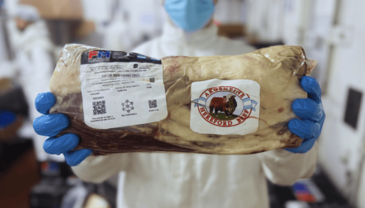 La carne certificada Hereford florece en los Caldenes, con trazabilidad desde el potrero hasta la mesa