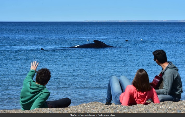 Semana Santa: informe y expectativas del Observatorio Argentino de Turismo de CAT