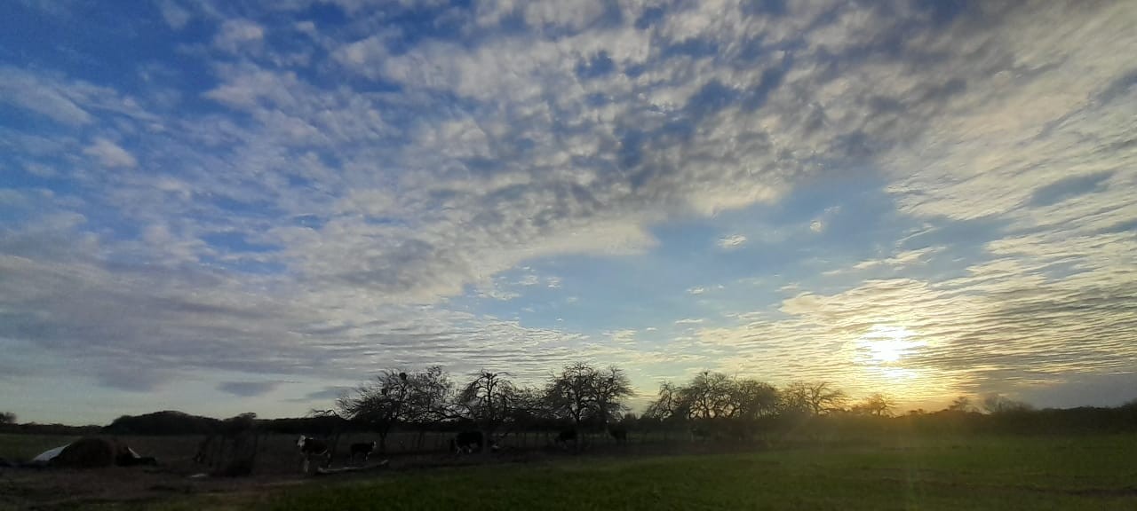 Viernes parcialmente nublado