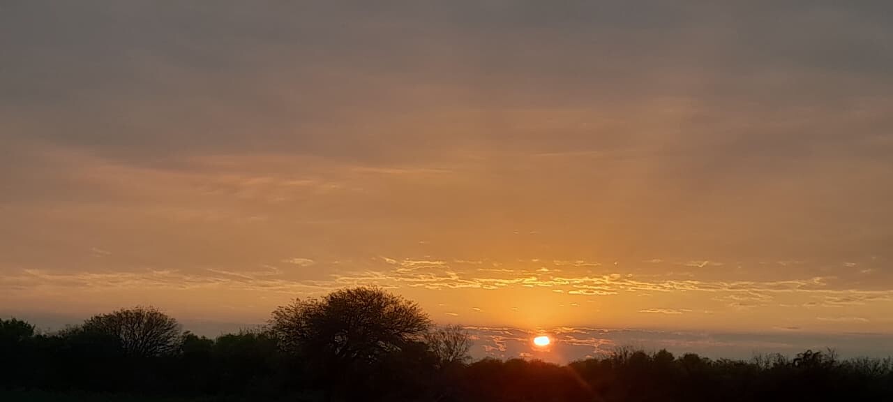 Zona Colonia Libanesa