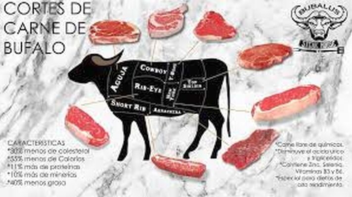 Clipboard_01-13-2026_152.jpg Carne de búfalos, un sector en el que la Provincia aspira a escalar con productores e instituciones
