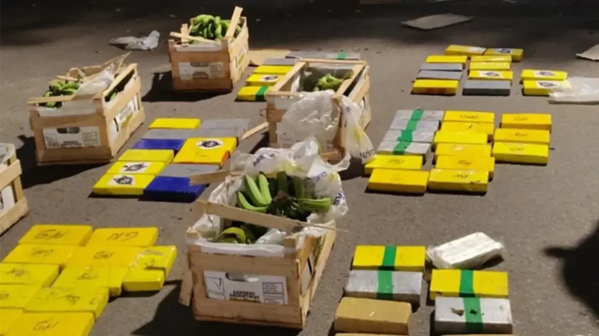 Cocaina-Bananas-1190x669.webp Ocultaron 152 kilos de cocaína en una carga de bananas de Orán
