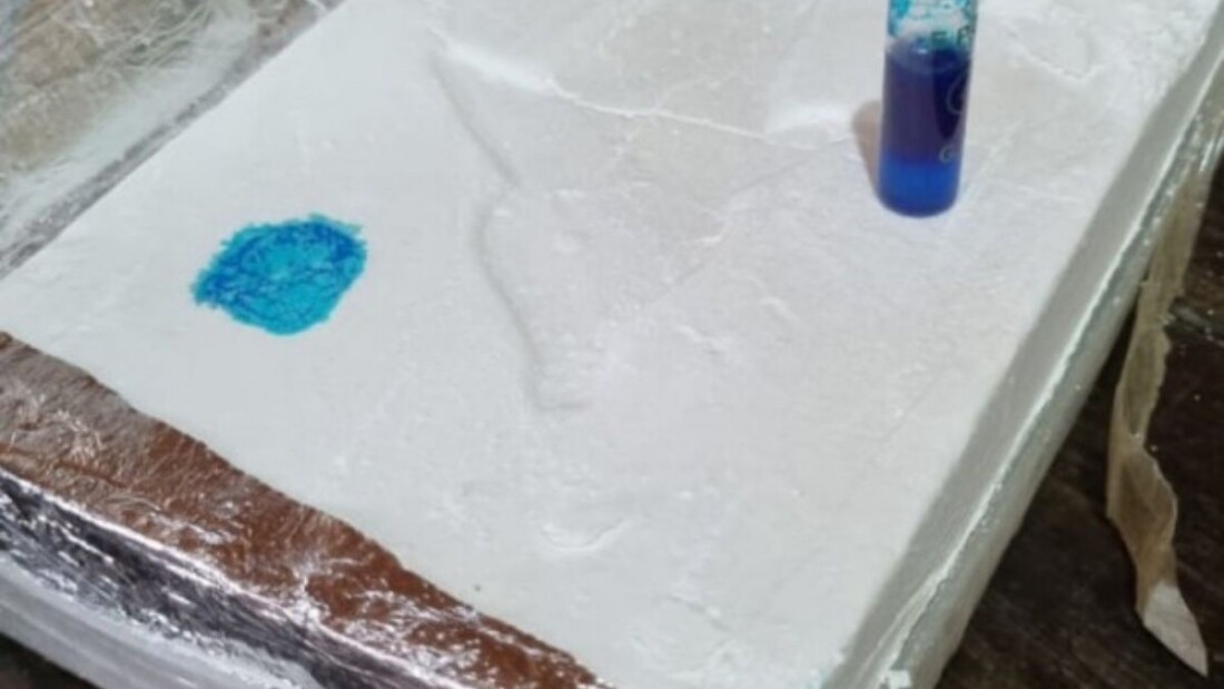 Cocaina-Delfin-1100x619.jpeg