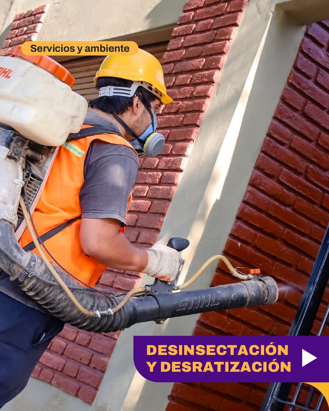 Continúan los operativos de desinsectación, desratización y educación ambiental en la Ciudad de San Juan