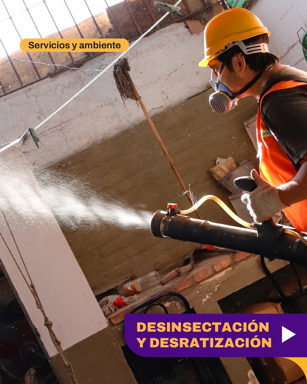 CIUDAD: desinsectación, desratización y educación ambiental desde el 22 al 26 de septiembre