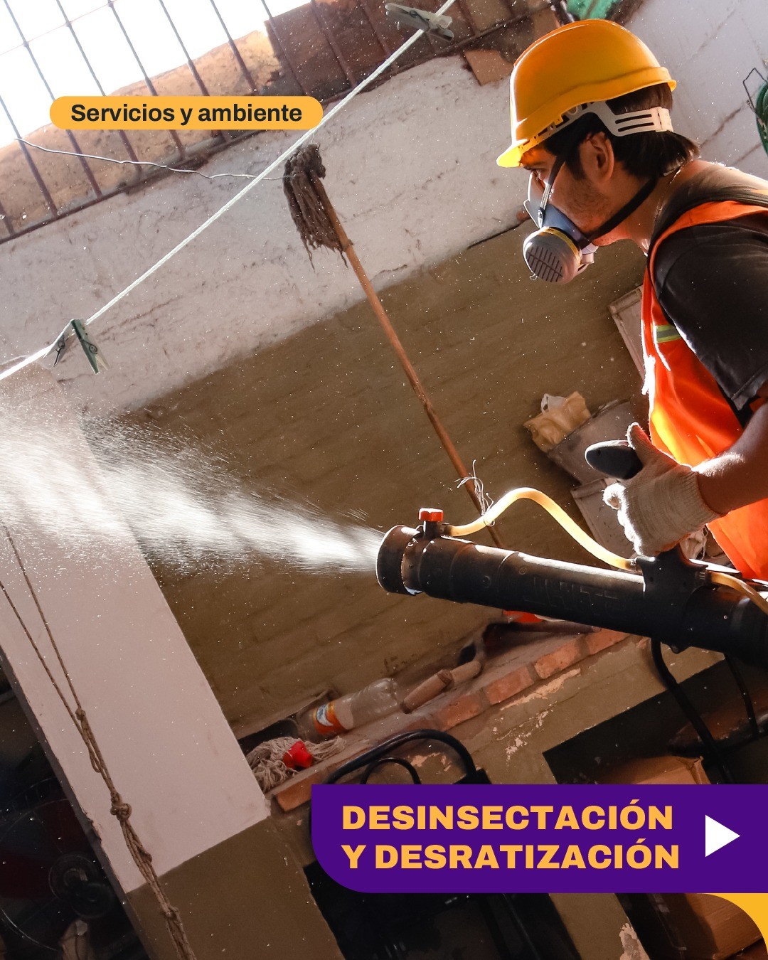 CIUDAD: cronograma semanal de desinsectación, desratización y educación ambiental