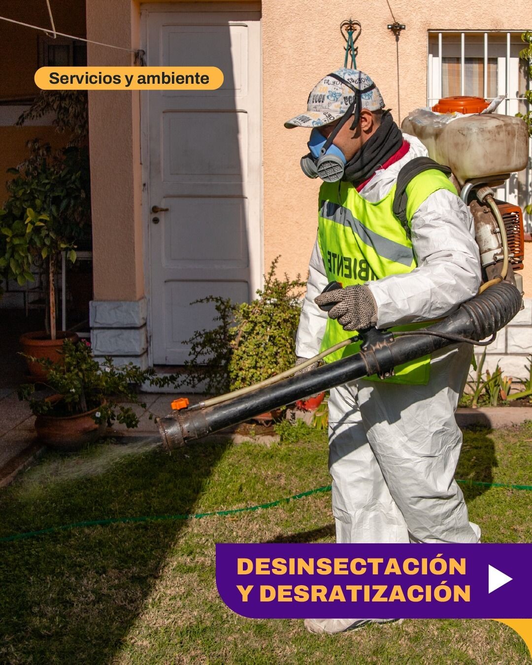 CIUDAD: Cronograma de desinsectación y desratización