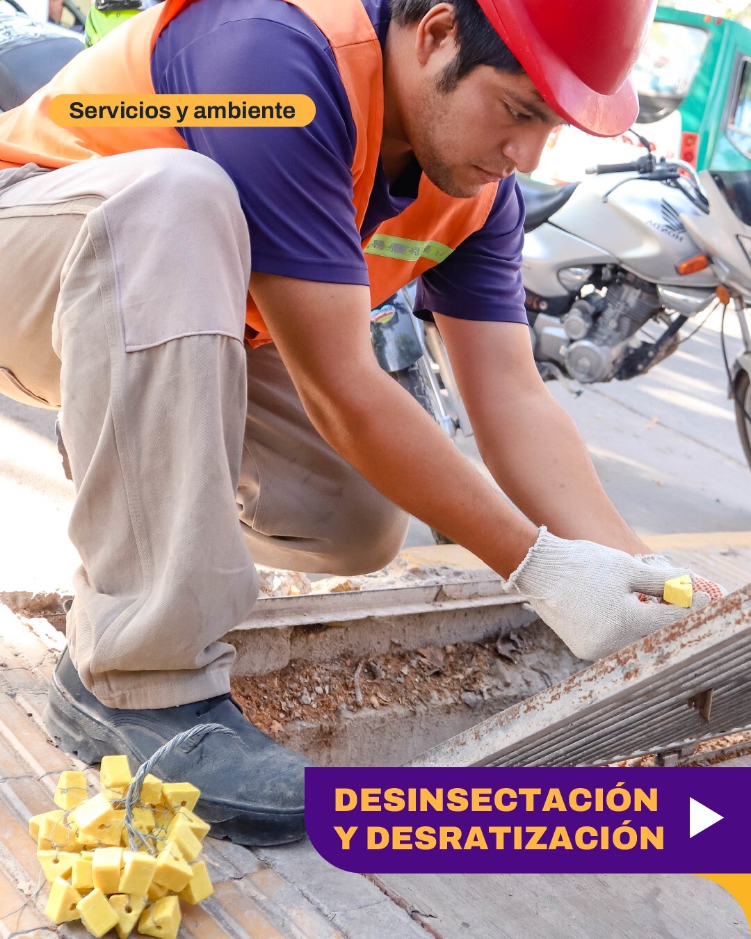 CIUDAD: Cronograma de Desinsectación y Desratización