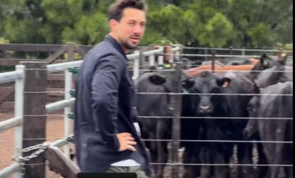 DUEÑO.png