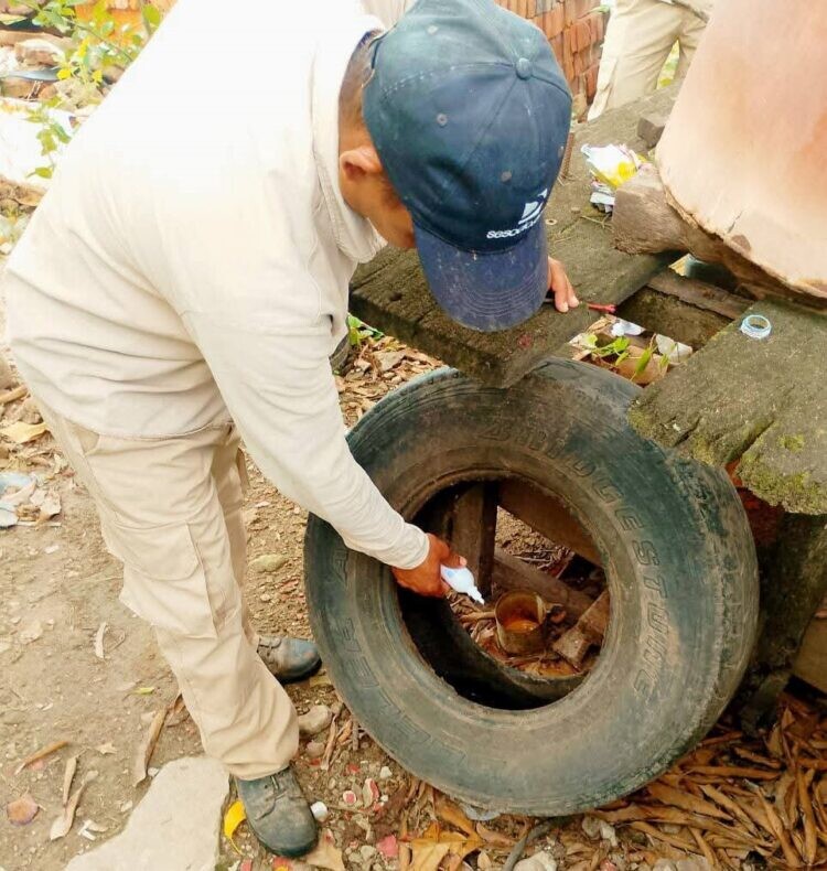 Dengue-reforzar-medidas-1.jpeg El Gobierno de Formosa insta a mantener los cuidados para prevenir el dengue
